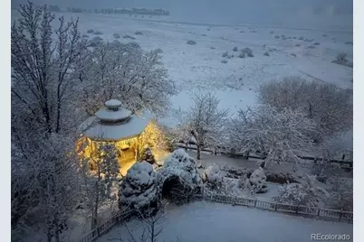 2973 Breezy Lane, Castle Rock, CO 80109 - Photo 46