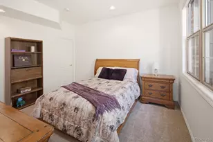 9827 Greensview Cir, Lone Tree, CO 80124 - Photo 30