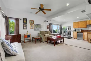 2113 Brierly Ct, Castle Rock, CO 80104 - Photo 34
