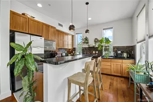 1738 N Franklin Street, Denver, CO 80218 - Photo 8
