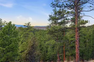 31455 Half Peak Trl, Pine, CO 80470 - Photo 42
