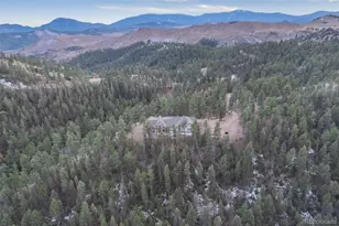 31455 Half Peak Trl, Pine, CO 80470 - Photo 44