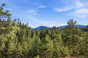 31455 Half Peak Trl, Pine, CO 80470 - Photo 22