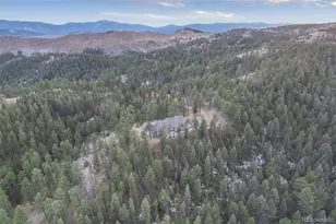 31455 Half Peak Trl, Pine, CO 80470 - Photo 4