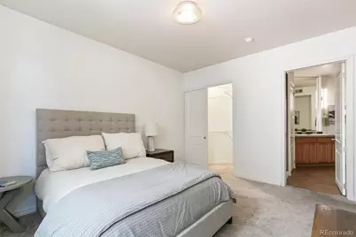 1100 N Grant Street #306, Denver, CO 80203 - Photo 14