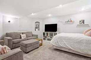 6791 Tiger Walk, Lone Tree, CO 80124 - Photo 24