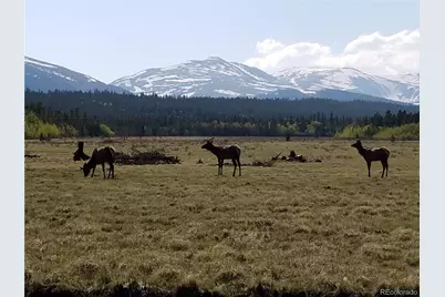 416 Foxtail Drive, Fairplay, CO 80440 - Photo 28