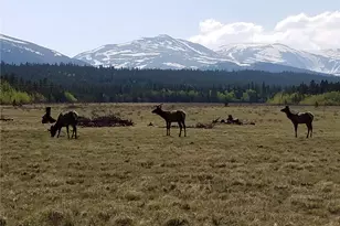 416 Foxtail Dr, Fairplay, CO 80440 - Photo 28