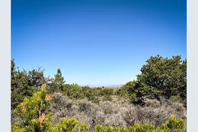 00 Overland Way, San Luis, CO 81152 - Photo 12