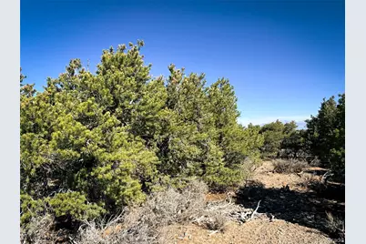 00 Overland Way, San Luis, CO 81152 - Photo 4