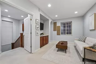 9135 E 29th Pl, Denver, CO 80238 - Photo 10