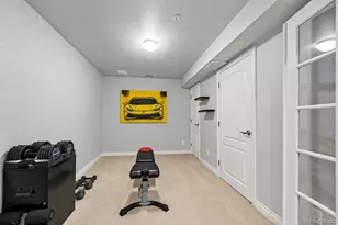 9135 E 29th Pl, Denver, CO 80238 - Photo 24