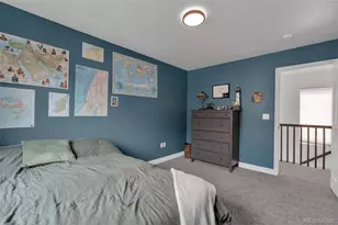 4213 Timber Hollow Loop, Castle Rock, CO 80109 - Photo 12
