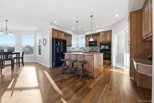 458 Crosshaven Pl, Castle Rock, CO 80104 - Photo 12