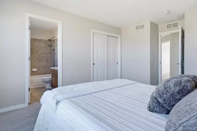 458 Crosshaven Place, Castle Rock, CO 80104 - Photo 28