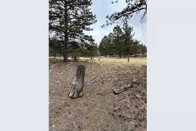 2146 Wagon Wheel Road, Hartsel, CO 80449 - Photo 14