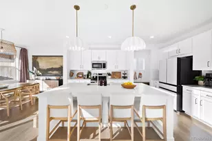 13273 Blue Amber Ct, Parker, CO 80134 - Photo 2