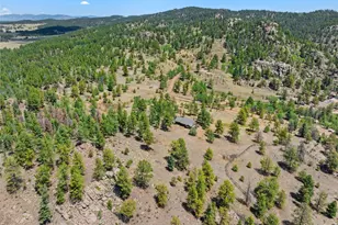 841 Plateau Dr, Guffey, CO 80820 - Photo 48