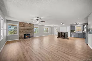 841 Plateau Dr, Guffey, CO 80820 - Photo 4