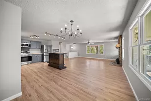 841 Plateau Dr, Guffey, CO 80820 - Photo 14