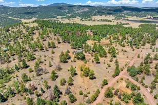 841 Plateau Dr, Guffey, CO 80820 - Photo 44
