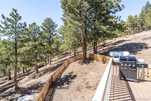 140 Co Rd 128N, Nederland, CO 80466 - Photo 44