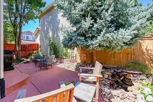 1221 Braewood Ave, Highlands Ranch, CO 80129 - Photo 30