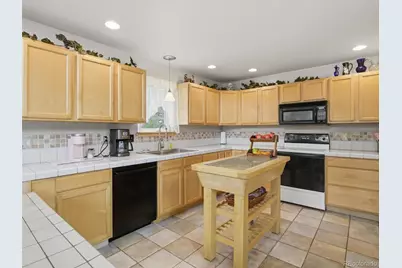 117 Spruce Trail, Bailey, CO 80421 - Photo 10