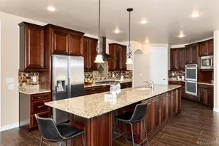 10703 Braesheather Ct, Highlands Ranch, CO 80126 - Photo 4