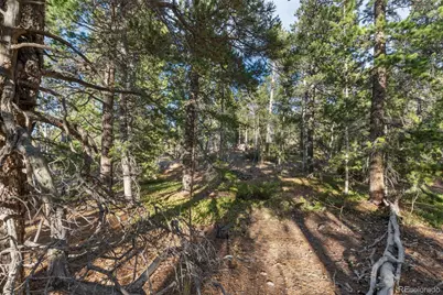 00 Severance Lodge Rd, Black Hawk, CO 80422 - Photo 18