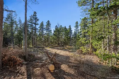 00 Severance Lodge Rd, Black Hawk, CO 80422 - Photo 1