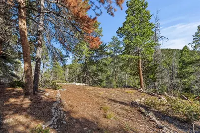 00 Severance Lodge Rd, Black Hawk, CO 80422 - Photo 14