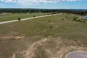 16315 Cherry Crossing Dr, Colorado Springs, CO 80921 - Photo 8
