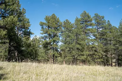 Tbd-3 Paradise Circle, Elizabeth, CO 80107 - Photo 6