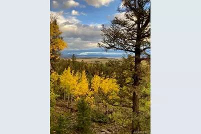 702 Bellows Road, Hartsel, CO 80449 - Photo 48