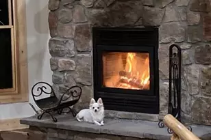 702 Bellows Rd, Hartsel, CO 80449 - Photo 18