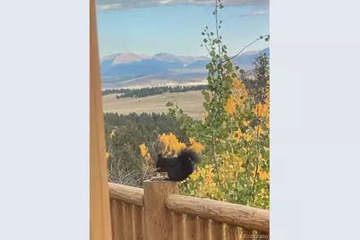 702 Bellows Road, Hartsel, CO 80449 - Photo 46