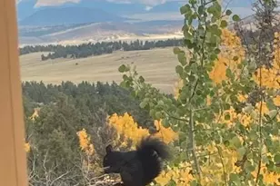 702 Bellows Rd, Hartsel, CO 80449 - Photo 46