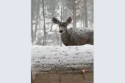 702 Bellows Road, Hartsel, CO 80449 - Photo 8