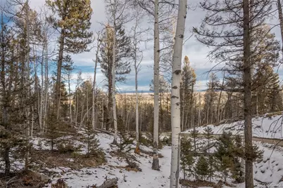 702 Bellows Road, Hartsel, CO 80449 - Photo 44