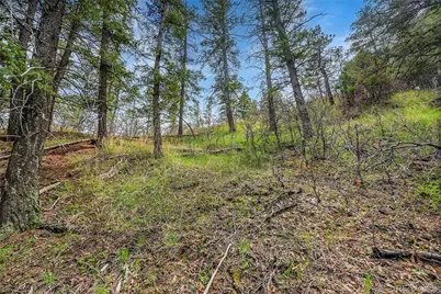 8093 Acoma Drive, Larkspur, CO 80118 - Photo 4