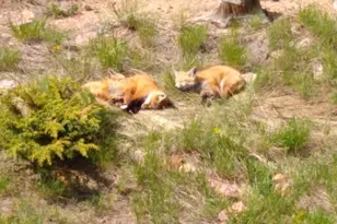 401 Hwy 72, Golden, CO 80403 - Photo 14