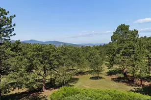 26348 Columbine Glen Trail, Golden, CO 80401 - Photo 50