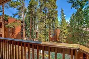 1120 Ski Hill Rd, Breckenridge, CO 80424 - Photo 22