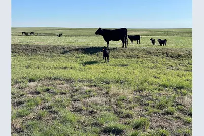 9 County Road 166, Deer Trail, CO 80105 - Photo 1