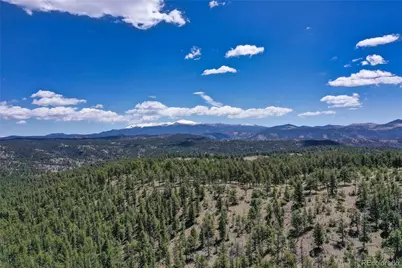 437 Langnis Road, Guffey, CO 80820 - Photo 26