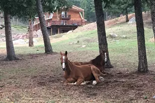 60 N Co Hwy 67, Sedalia, CO 80135 - Photo 42