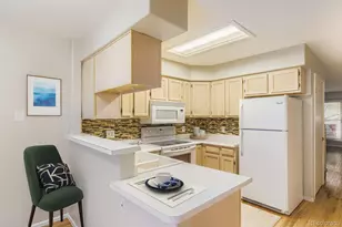 8254 S Fillmore Way, Centennial, CO 80122 - Photo 8