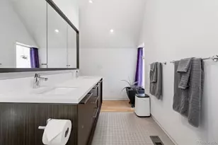 2516 N Clarkson St, Denver, CO 80205 - Photo 34