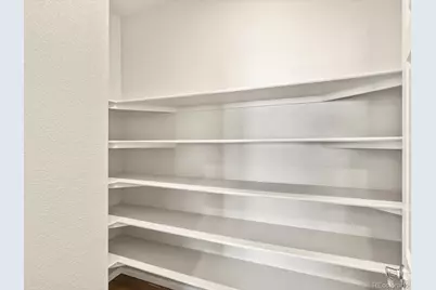 1625 Yampa River Drive, Windsor, CO 80550 - Photo 12